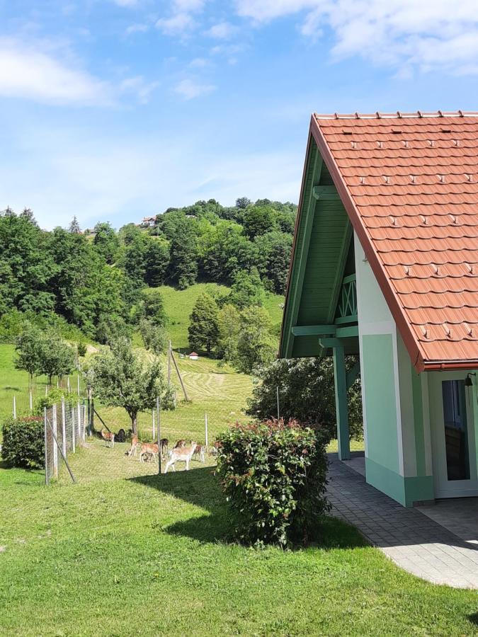 Holiday Home Neokrnjena Narava Sevnica Екстериор снимка